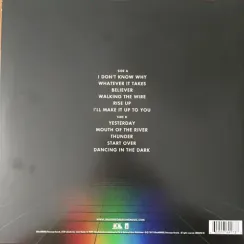 Imagine Dragons - Evolve - LP