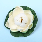 Растение водоплавающее «Кувшинка Розитта» d-10см белая