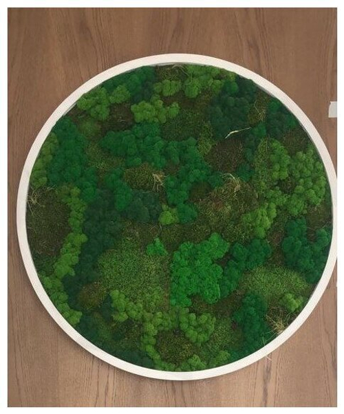 Круглое панно из стабилизированного мха в деревянной раме, диаметр 60см