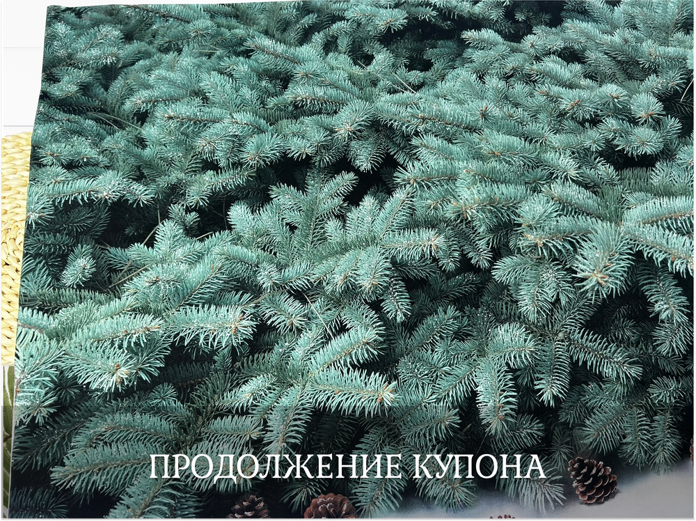 Футер белка купон 70-см+-5см