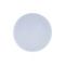 Потолочный светодиодный светильник Loft IT Axel 10002/12 white