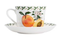 Чашка с блюдцем Абрикос в подарочной упаковке Maxwell & Williams