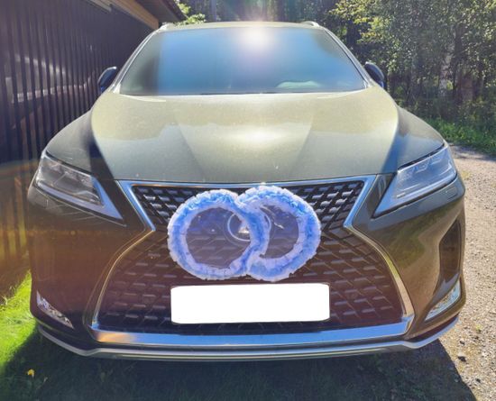 Свадебные кольца для украшения машины, голубые с белым