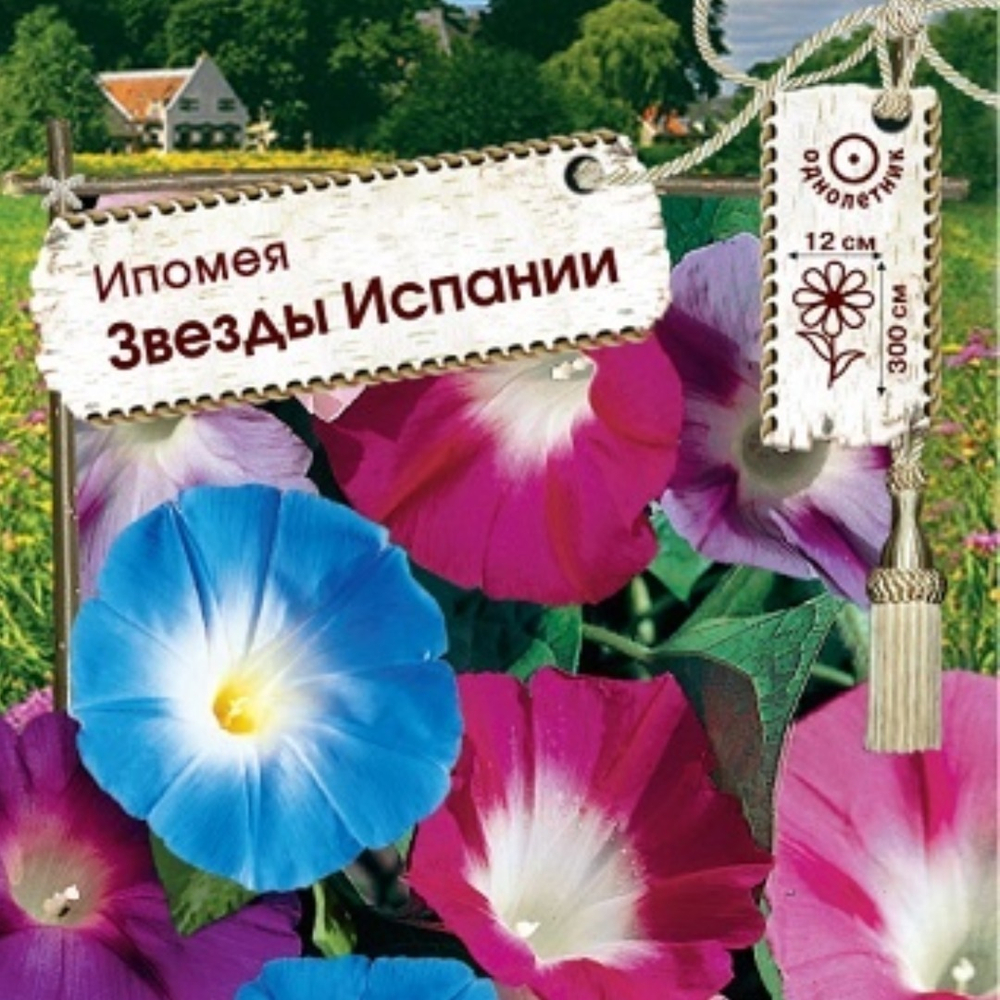 Ипомея Звезды Испании
