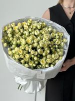 Букет моно из кустовых роз 25 шт в светло-желтом оттенке