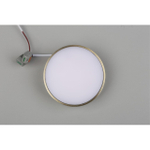 Потолочный светодиодный светильник Aployt Evon APL.0113.29.12