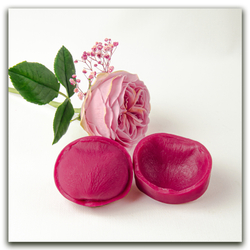 Комплект для лепки пионовидных роз