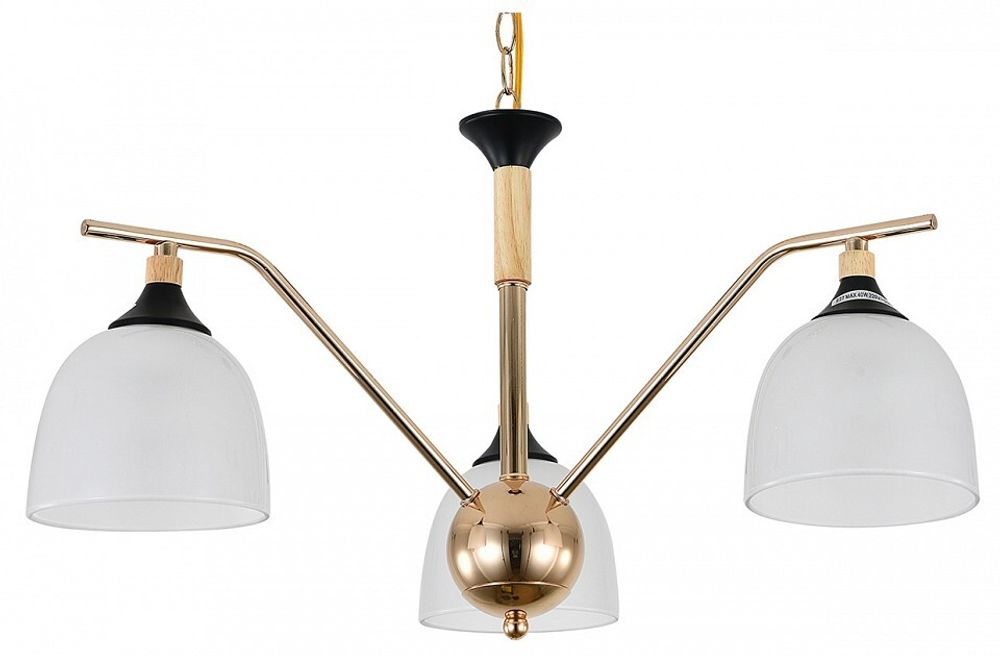 Подвесная люстра Escada Actinidia 2123/3P