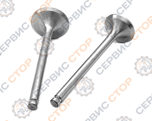 Клапаны впуск/выпуск TY295