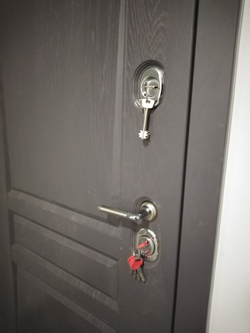 Входная дверь в квартиру Рекс Платинум / ФЛ-117 Силк сноу (белый матовый, без текстуры)