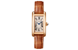Cartier Tank W2607456