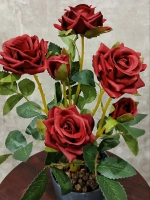 Роза кустовая бархатная, без кашпо.