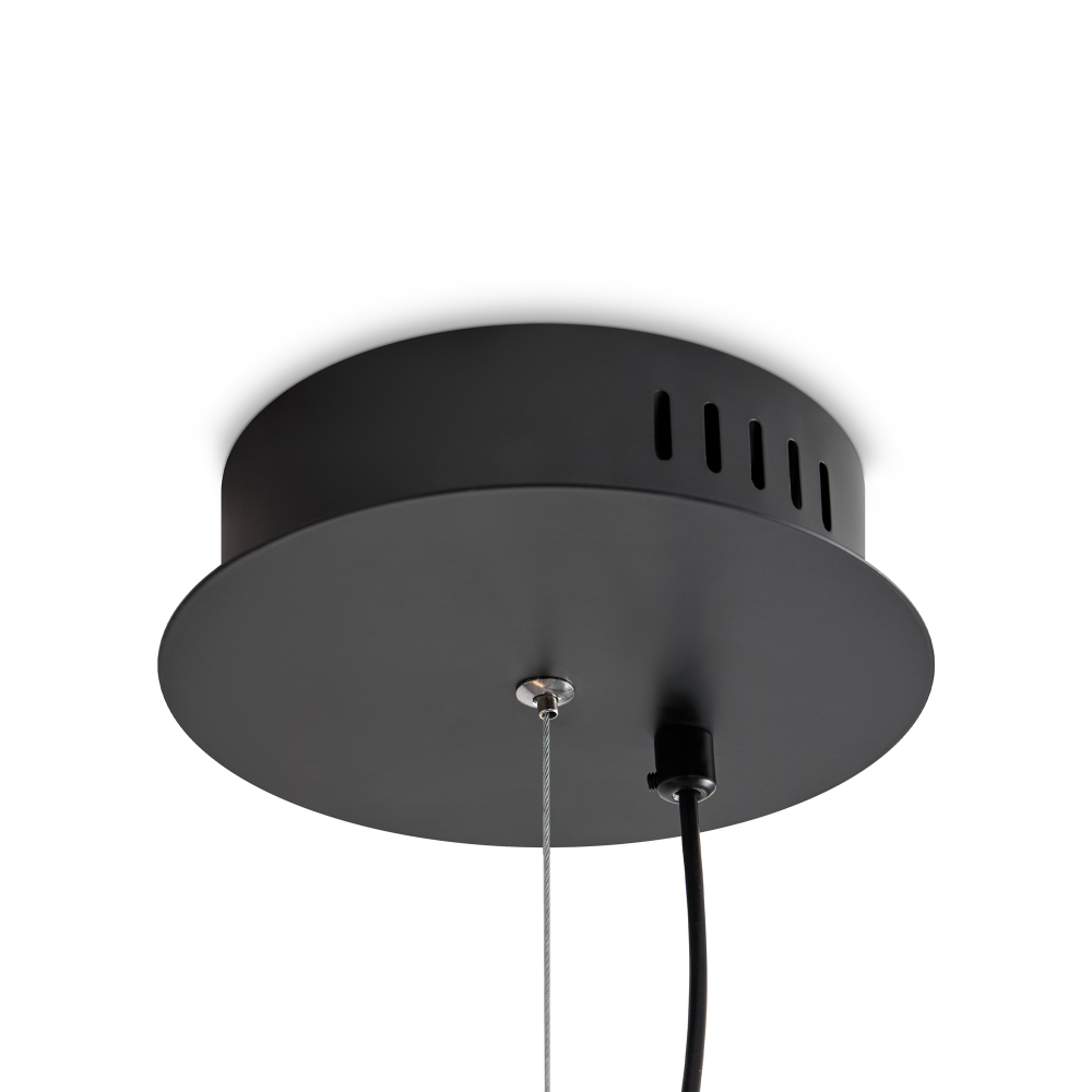 Подвесной светодиодный светильник Freya Loyd FR5556PL-L22BBS