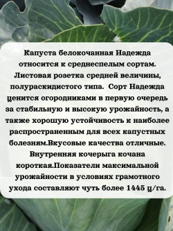 Семена капуста белокочанная Надежда 1 гр