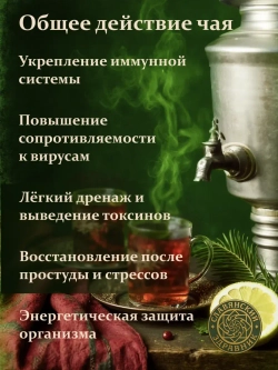 Чай подарочный зеленый для иммунитета 200г