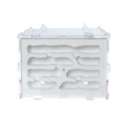 муравьиная ферма Белый дом