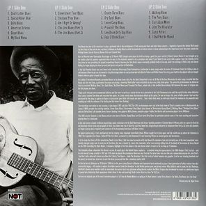 Son House / Raw Delta Blues (2LP)