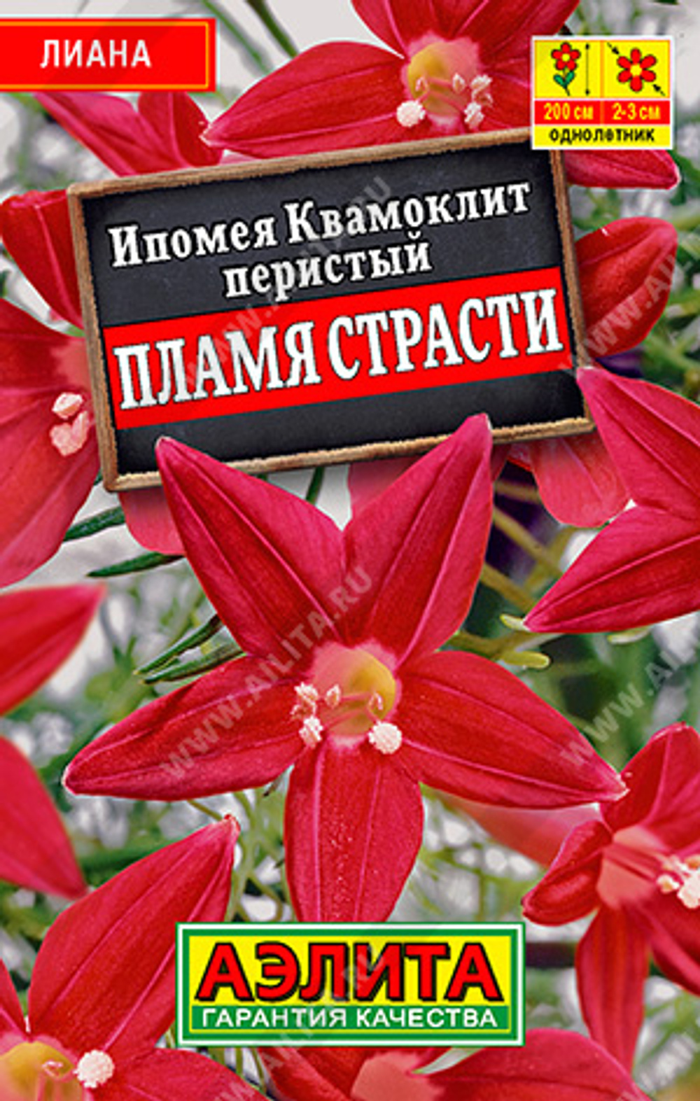 Ипомея Квамоклит Пламя страсти