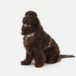 Анатомическая шлейка Cow