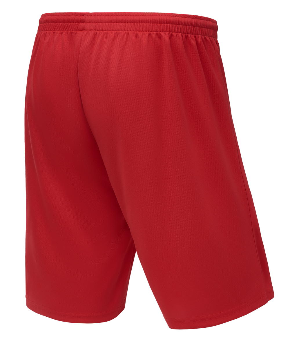 Шорты баскетбольные Camp Basic, красный