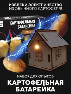 Набор для опыта для детей Картофельная батарейка