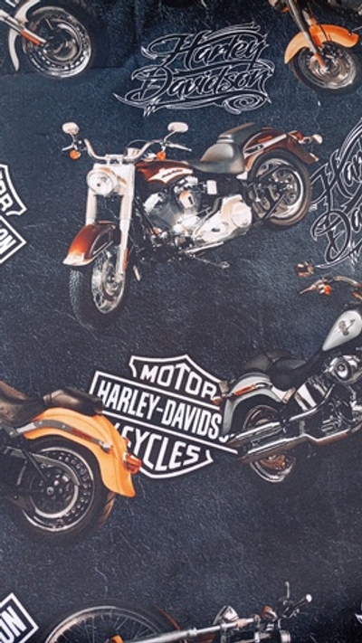 Дюспо (курточная ткань). Принт- Харлей