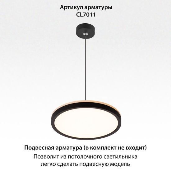 CL748241 NORMA Черный с подсветкой