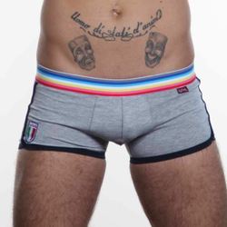 Мужские трусы хипсы серые c темно-синей окантовкой Paul Smith Trunk Grey