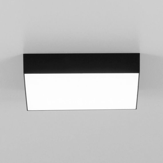 Накладной светодиодный светильник Citilux Тао CL712X242N