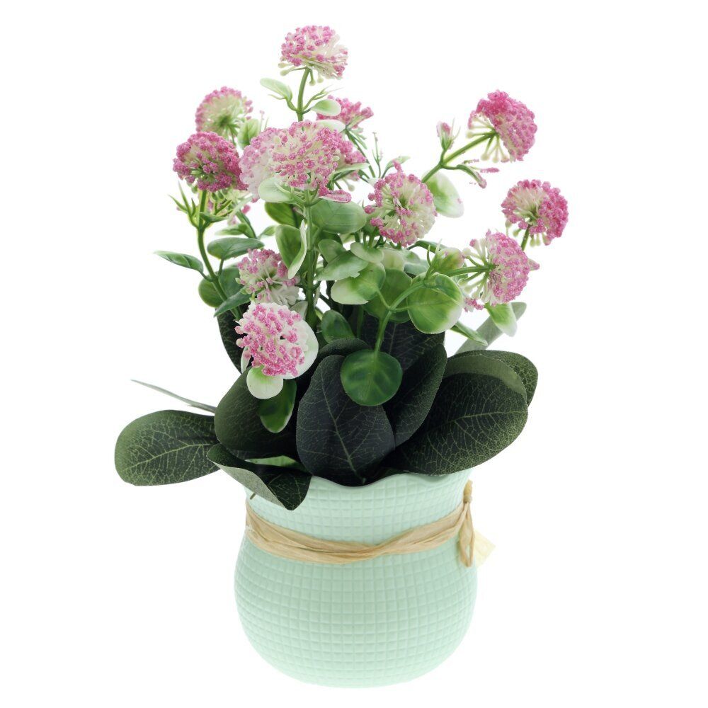 GAEM Цветочная композиция "Клевер", L15 W14 H25 см