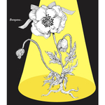 Раскраска Контэнт-Канц, 215*245 мм, лам. картон, soft-touch, выб-лак, конгрев, 48 л., цвет. внутр. блок, "Вселенная Юкко Хигучи. Мяуморфозы"