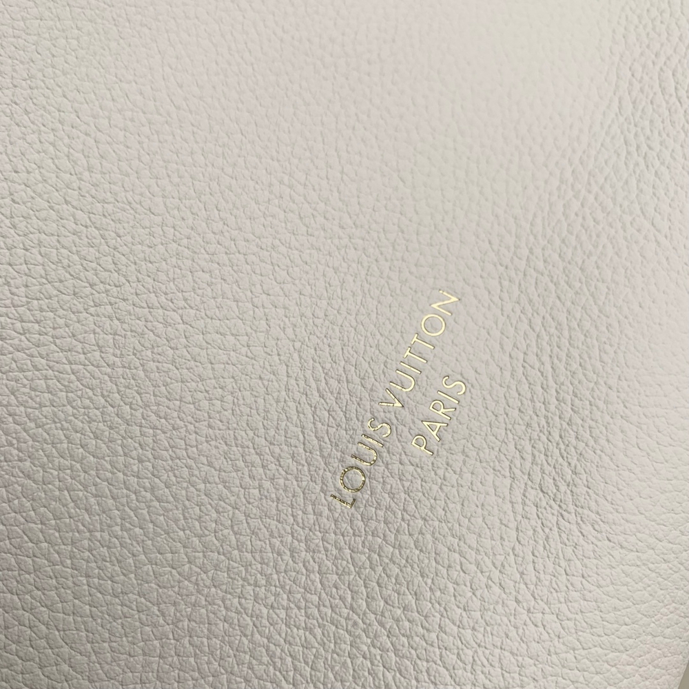Louis Vuitton Low Key Hobo MM