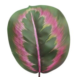 GAEM Цветочная композиция "Маранта", L10 W10 H35 см