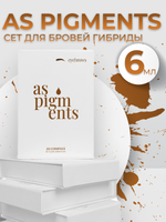 Сет пигментов для бровей базовый гибридный AS PIGMENTS 6 шт по 6 мл