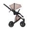 Коляска ANEX e/type 2 в 1 (et-11A) pixie