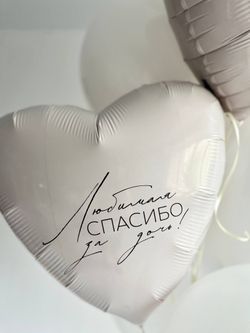 Пастельные воздушные шары на выписку девочки №3452