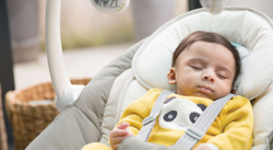 Электрокачели Joie Serina 2 в1 №2 — 9-0007