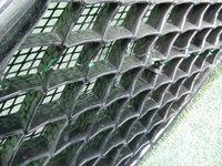 DSCN4270.JPG