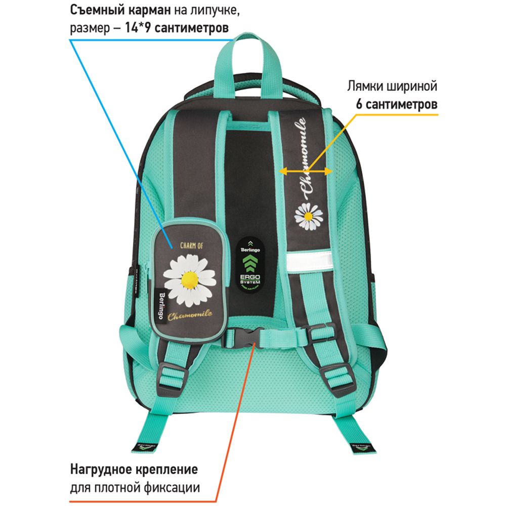 Ранец Berlingo Expert Plus Chamomile 38х29х15см, 2 отд., с анатомической спинкой