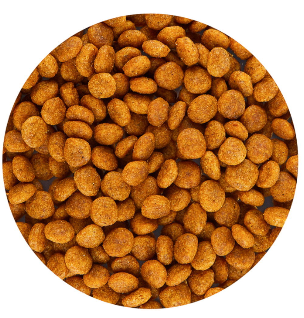 Royal Canin X-Small Adult Сухой корм Роял Канин для взрослых собак мелких пород, 1,5 кг