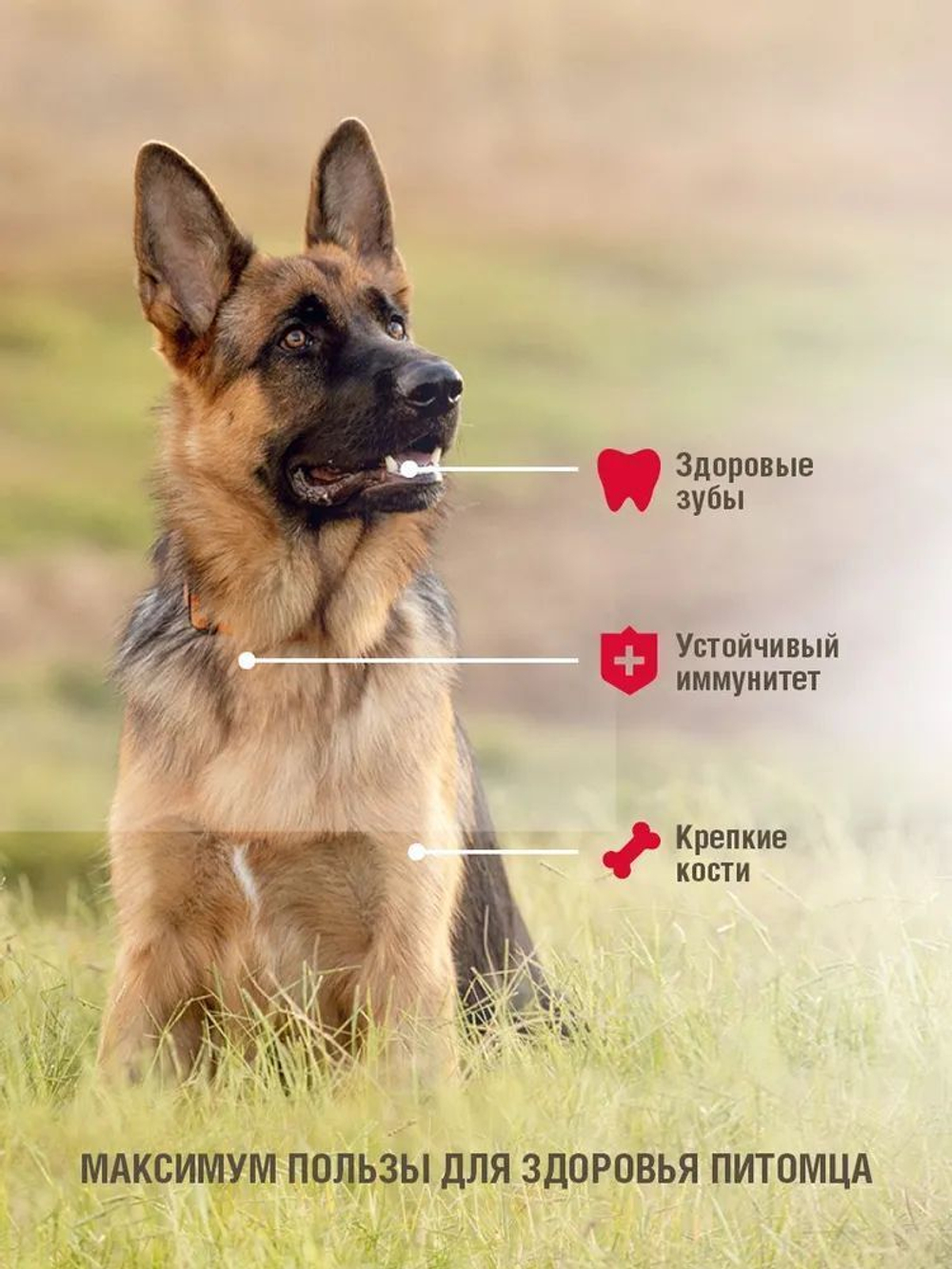 Сухой корм для взрослых собак крупных пород Darsi Adult, мясное ассорти 10кг