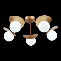 Светильник потолочный Evoluce Bolzano SLE220502-05