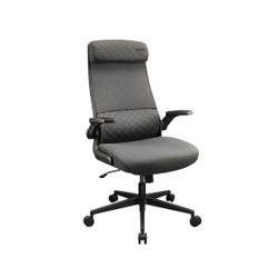 Компьютерное кресло Cougar Stryder Gray