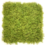 Искусственный мох ягель силикон 50Х50 см.