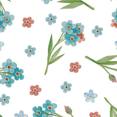 Нежные цветы Незабудки