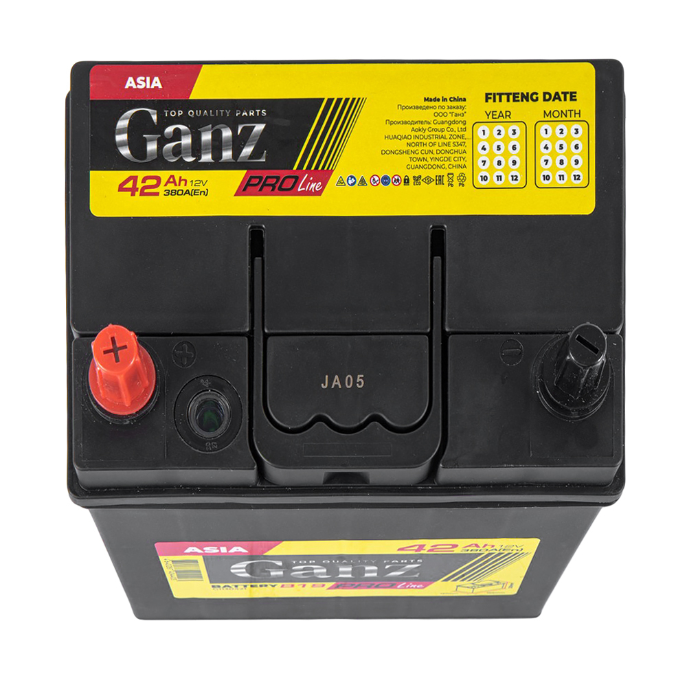 Аккумулятор GANZ PRO-Line JIS 42 А/ч прямой L+ 195x127x220 B19 EN 380 А
