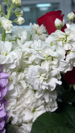 25 розовых тюльпанов + 7 веточек белой матиолы в круглую упаковку