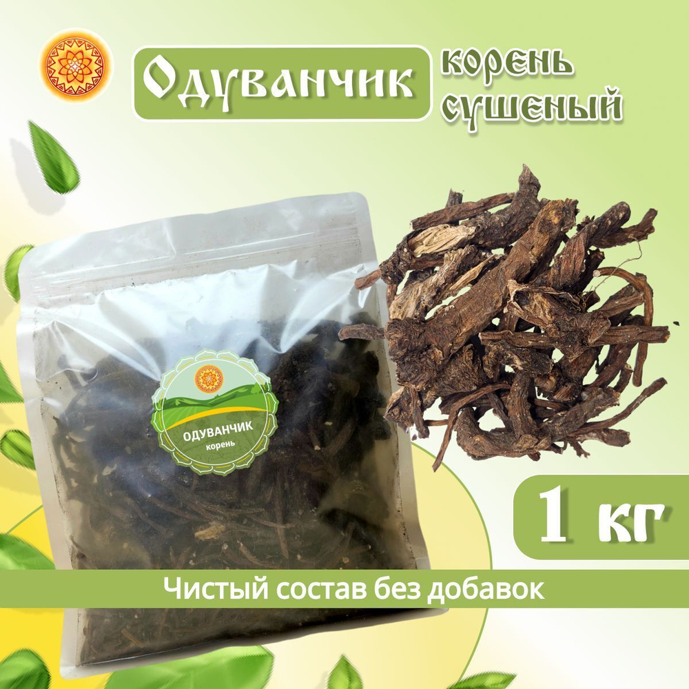 Одуванчика корень.