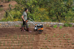 Культиватор Stihl MH 445 R