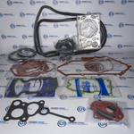 Ремкомлект ДВС WP13 (полный)